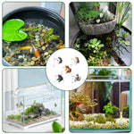 Qpets Fish Tank Accessories for Desk and Aquarium Decor with 2 in PVC Kitty Figurines 5 Pack