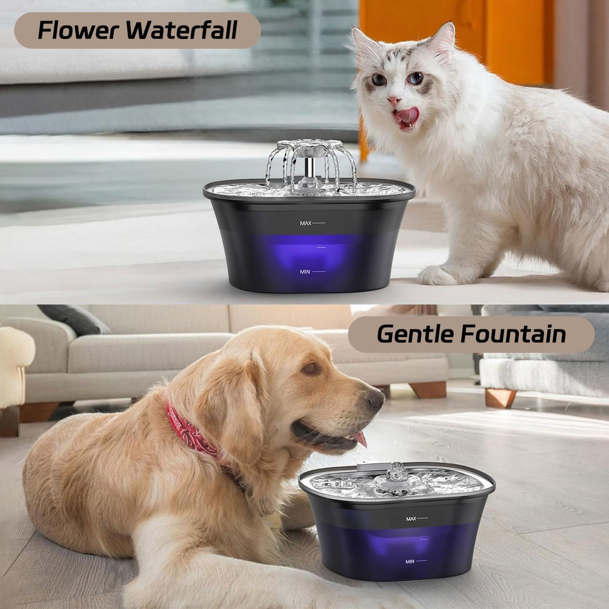 Qpets Cat Water Fountain with 2L Capacity and 5 Layer UV Filtration | 120 Day Battery