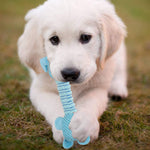 Qpets Plush Dog Toys for Puppy Play with Long Neck Squeaker | Cotton Chew Toy Blue