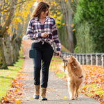 Qpets Pet Treat Pouch Portable Silicone Snack Pack for Dog Training and Outdoor Use