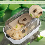 Qpets Turtle Basking Platform for Aquatic Tanks with Ramp and Built-in Food Bowl | 44.5x29x23cm PP Structure