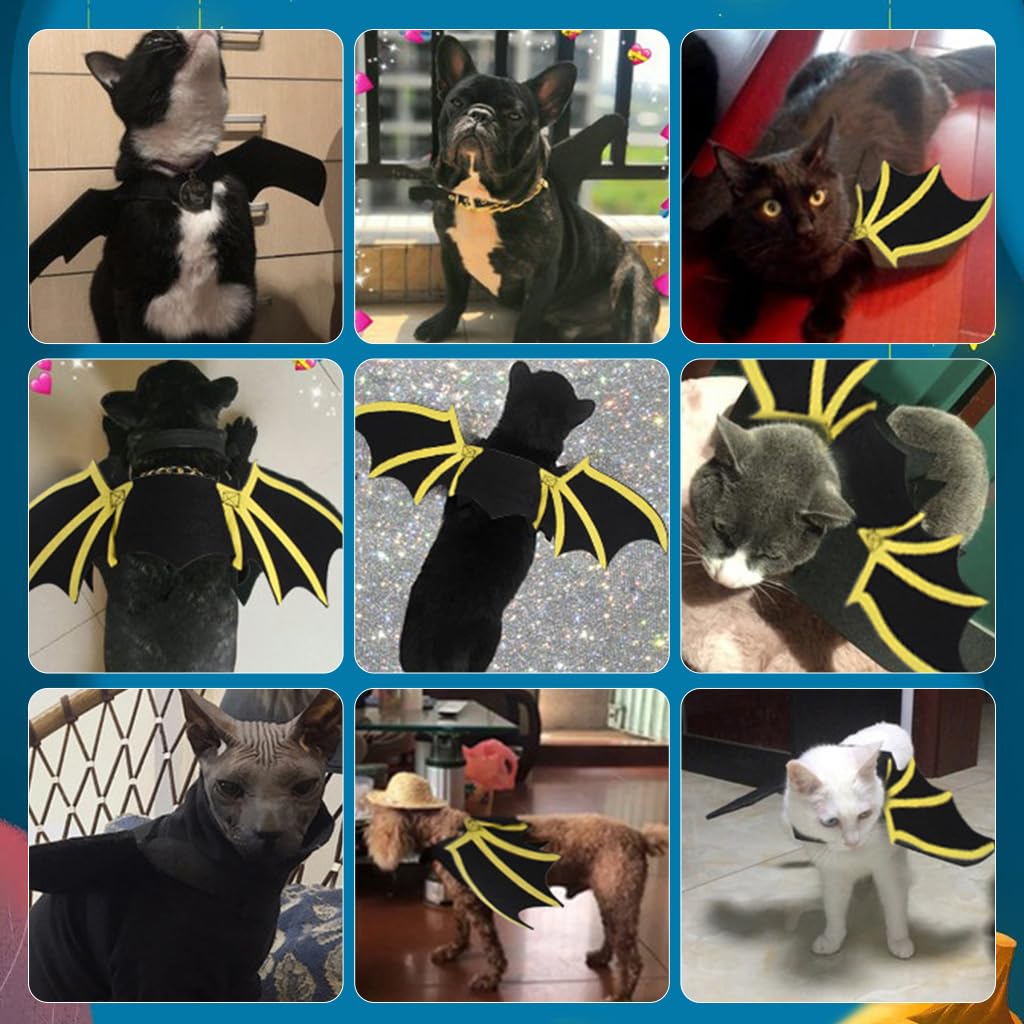 Qpets Bat Wing Costume for Cat and Dog featuring 50cm Wings with Hoop and Loop Closure | Black Felt Halloween Pet Outfit