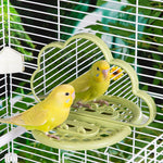 Qpets Parrot Mirror Toy for Cage with Food Box 18.5x9x14cm featuring Clip-on Design | Cloud Shape Interactive Play for Parakeet and Cockatiel