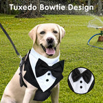 Dog Tuxedo Harness, Fashionable Dog Tuxedo Harness Set with Traction Rope and Chest Harness, Dog Vest Pet Suit Holiday Dress Puppy Kitten Wearing (L)