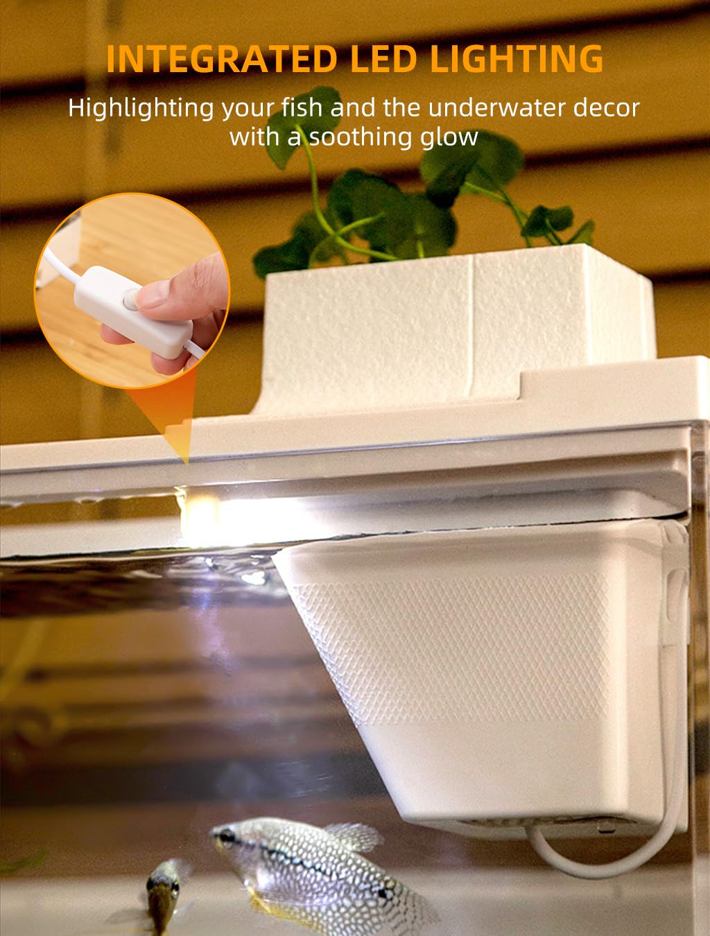 Qpets Mini Betta Fish Tank for Home or Office Decor with LED Lighting and Filtration | Clear Acrylic 30×13×15 cm