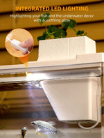 Qpets Mini Betta Fish Tank for Home or Office Decor with LED Lighting and Filtration | Clear Acrylic 30×13×15 cm