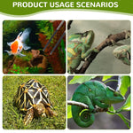 Qpets Feeding Tongs for Reptiles and Aquarium with 27cm Reach and Straight & Curved Tips | Stainless Steel with Rubber Sleeves