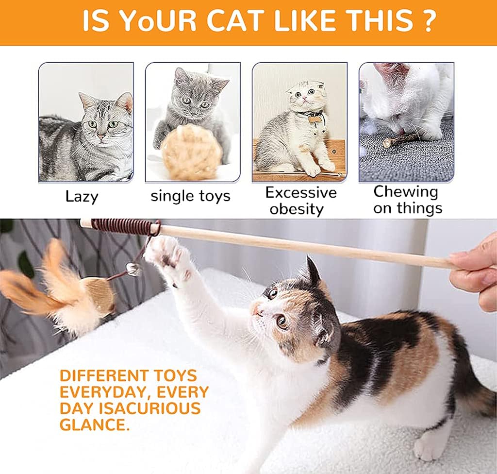 Qpets® Premium Interactive Cat Toys Set of 5 with Teaser Wand, Suction Cup, Natural Feather Mouse Toys for Kittens and Indoor Cats, Multi-Scene Play Combo for Activity and Exercise