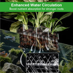 Qpets Clear Acrylic Hydroponic Basket for Fish Tank with Hanging Design 18x6x8cm | Decorative Aquarium Planter for Root Growing & Home Décor