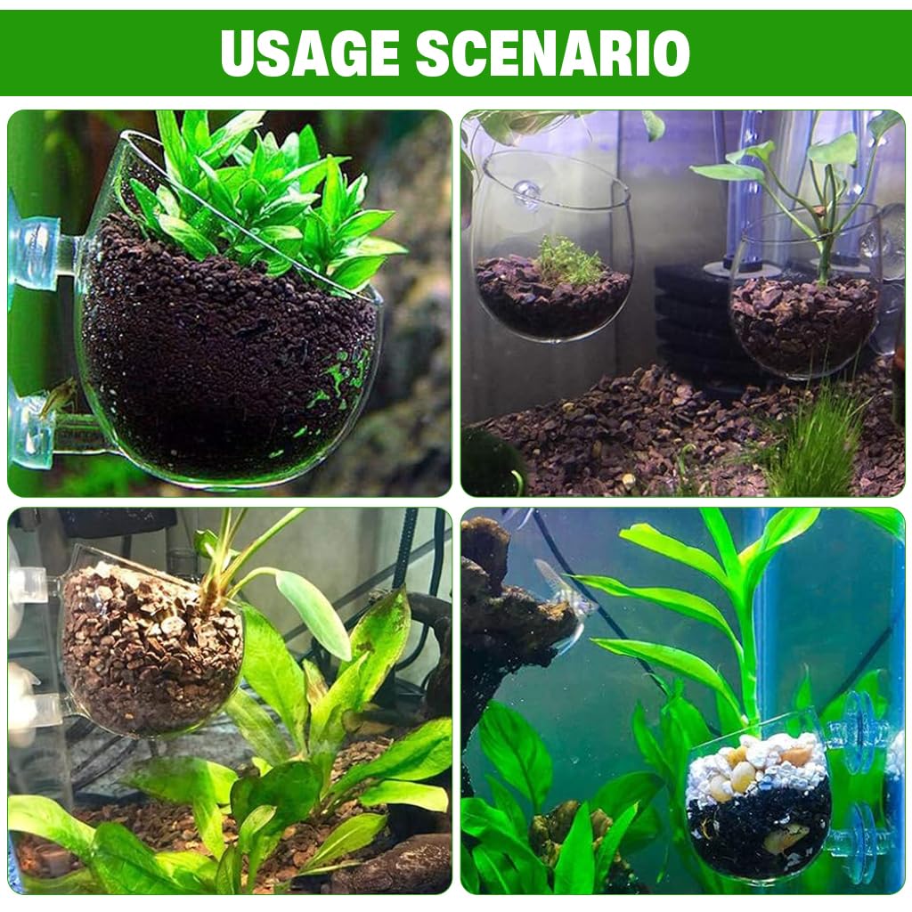 Qpets Aquatic Plant Glass Pot for Aquarium with Dual Suction Cups and Slanted Mouth | Clear Planter for Fish Tank Decor