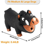 Qpets Squeaky Dog Toy for Interactive Play featuring Grunting Pig Sound and Soft Latex | Fun Fetch Training for Small and Medium Dogs