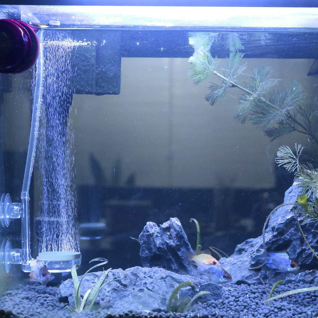 Qpets Air Stone for Aquarium with 8.5cm Alumina Disk and Dual Suction Cup | Adjustable Air Flow Valve