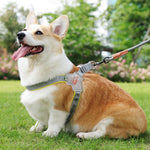 Qpets Large Dog Harness for Outdoor Walks with Dual D-Rings and 3M Reflective Nylon | Size L