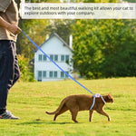 Qpets Cat Harness with Leash for Outdoor Walking featuring Dual Loop Design | 120 cm Leash and Quick Release Buckle