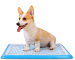 Qpets Dog Potty Tray for Indoor Training featuring Removable Mesh Grate and 19.7x14.2in Plastic Design | Blue