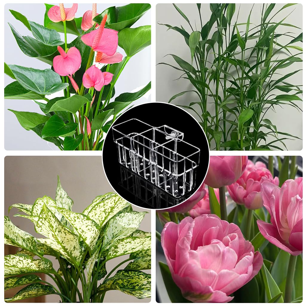 Qpets Clear Acrylic Hydroponic Basket for Fish Tank with Hanging Design 18x6x8cm | Decorative Aquarium Planter for Root Growing & Home Décor