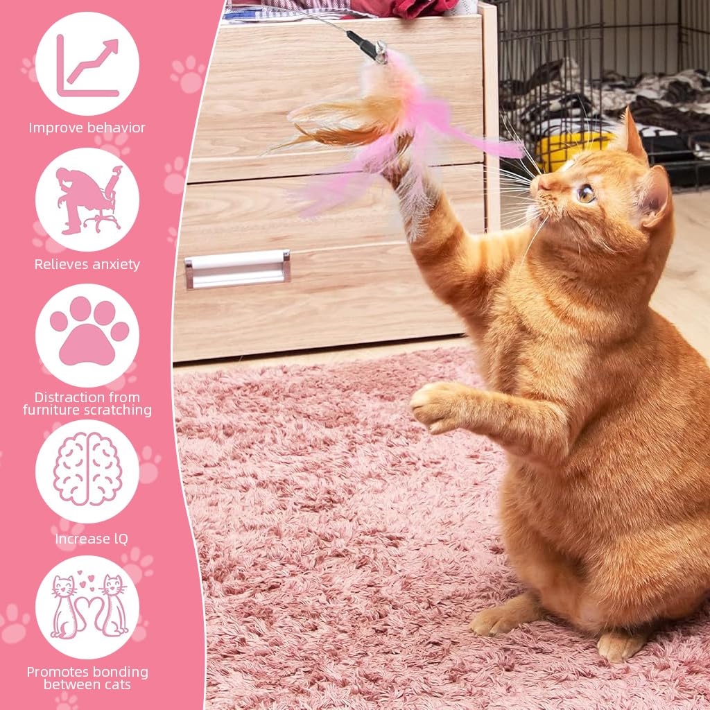 Qpets Cat Collar for Indoor Play with 23cm Steel Wire Feather Toy & Bell | Adjustable Rubber Fit 18–27cm