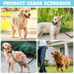 Qpets Dog Leash for Walking and Running with Dual Handle and Reflective Waist Bag | Adjustable Polyester Hands Free Design