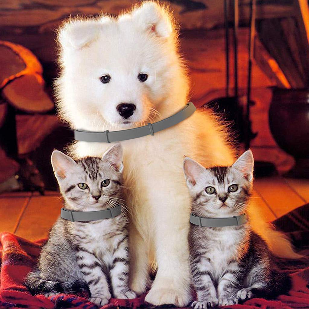 Qpets Flea and Tick Collar for Dogs and Cats with 8 Month Protection and 25 in Adjustable Strap