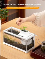 Qpets Mini Betta Fish Tank for Home or Office Decor with LED Lighting and Filtration | Clear Acrylic 30×13×15 cm