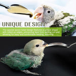 Qpets Hand Feeding Spoons for Baby Birds with 4.72 in Narrow Tip Stainless Steel Design | 2 Spoon Set