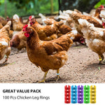 Qpets Birds Chicken Leg Rings for Poultry Identification with Laser Number Mark | 100 pcs in 5 Colors
