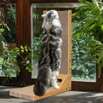 Cat Scratcher with Bell Toy 26.8 Inch Stand-up Cat Scratcher Premium Cardboard Scratcher for Cat Cardboard Scratcher Cat Toy