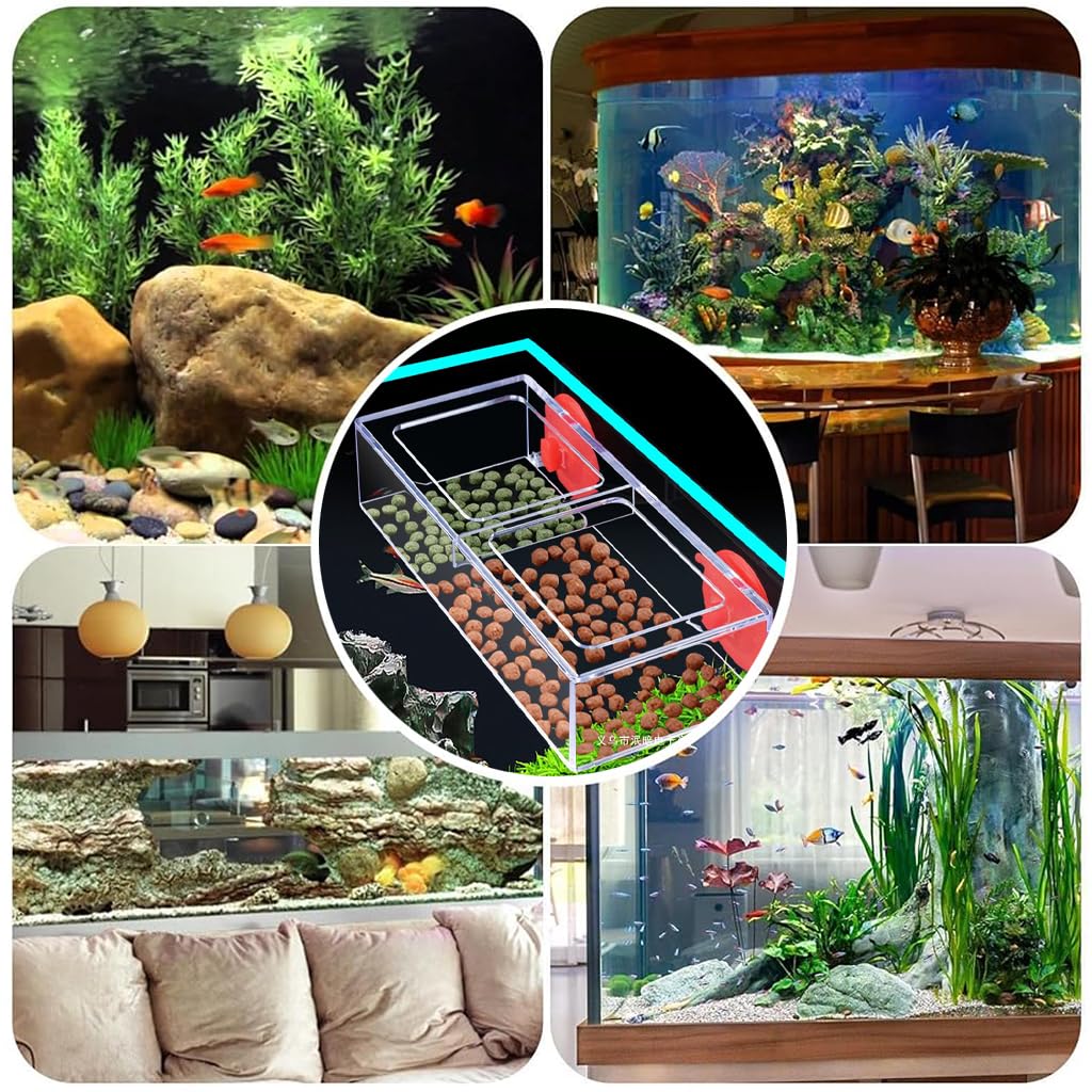 Qpets Floating Fish Feeder for Aquariums with Dual Open Design and Clear Acrylic Frame