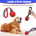 Qpets Dog Chew Toy Ball for Interactive Play with Nylon Braided Loop Handle and TPR Teething Relief