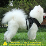 Qpets® Dog Harness for Large Dogs, Adjustable Dog Belt with Safety Reflective Strip, Breathable Mesh Fabric Cat Belt, Dog Vest Harness with Leash (Suitable for 6-9 kg)