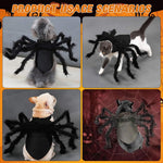Qpets Halloween Dog Costume for Small Pets featuring Adjustable Fit 29.9–39.8cm Neck | Fun Spider Design