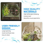 Qpets Betta Fish Aquarium Tank for Home or Office Décor with 12.5cm Round Bowl | PET Material and Decorative Stand