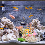 Qpets Little Mermaid Aquarium Decor for Freshwater and Saltwater Tanks featuring Resin Coral and Conch Ornament Set