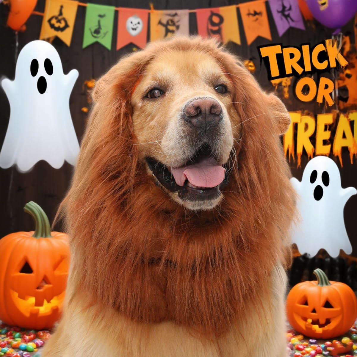 Qpets Lion Costume Set for Dogs with Adjustable Mane and Tail | Ideal for Halloween Parties