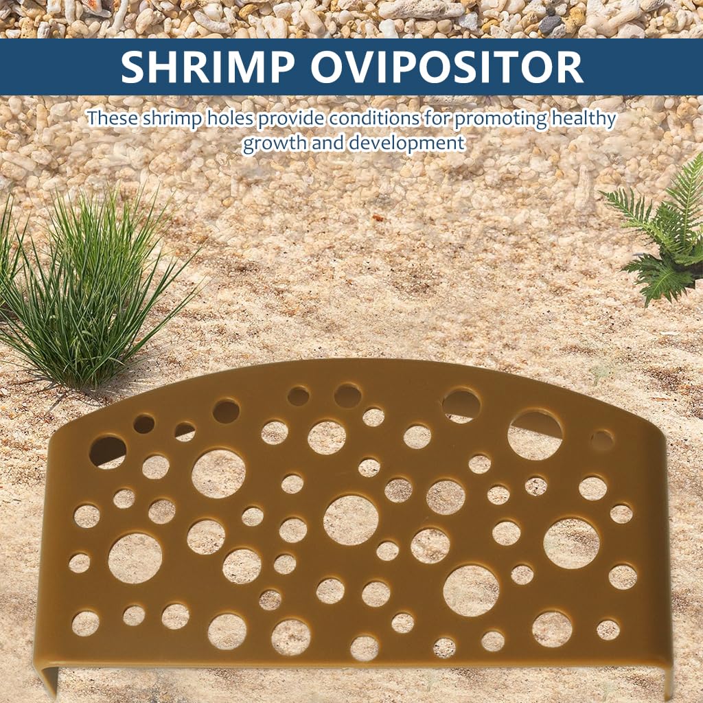 Qpets Aquarium Tunnel for Fish Tanks featuring Porous Hiding Caves and Platforms | Safe Habitat for Bettas and Shrimps