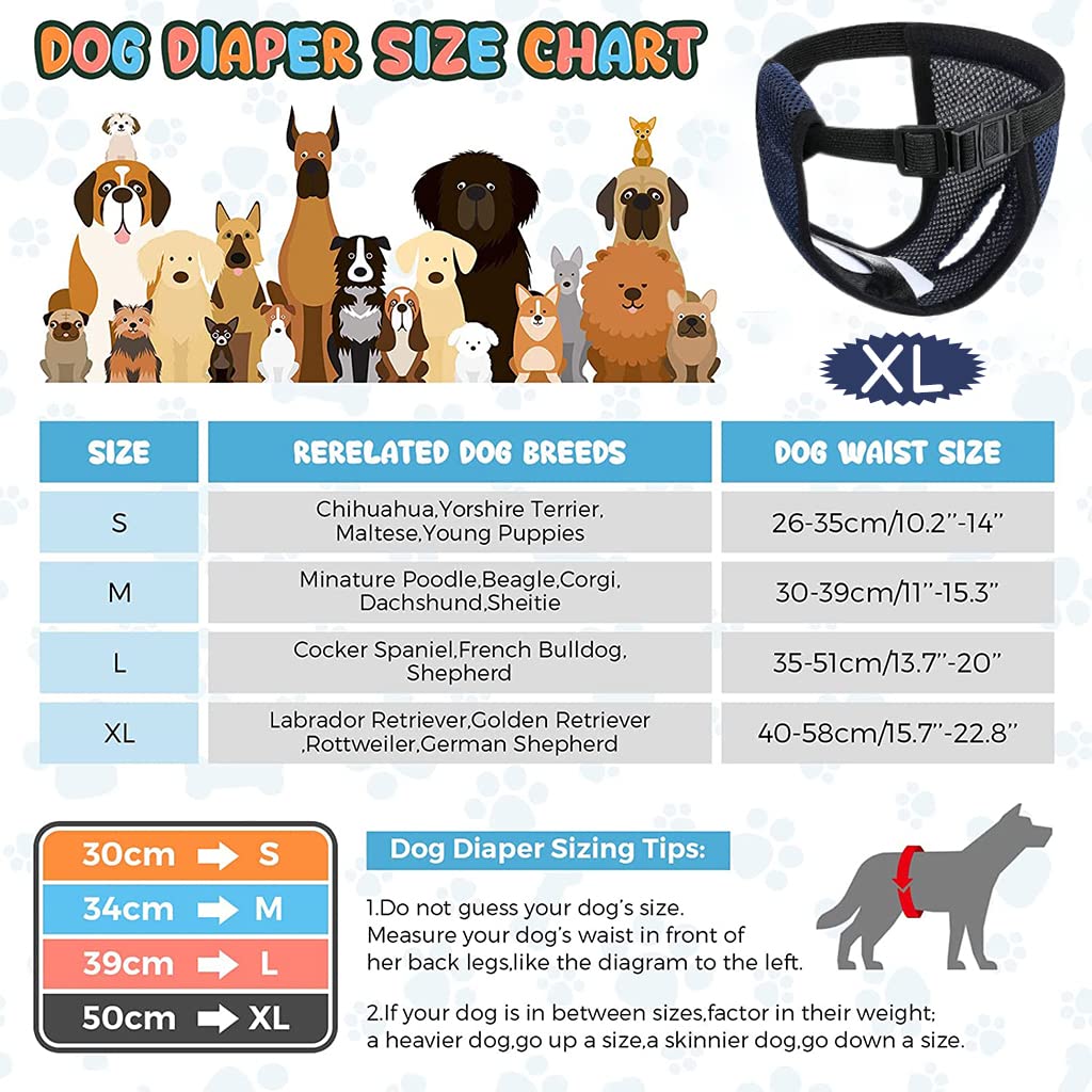 Qpets Dog Diapers for Female Pets featuring Elastic Waist & 3 Cotton Pads | Reusable XL