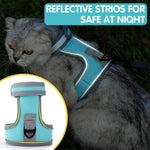 Qpets® Cat Vest Harness & Nylon Webbing Leash Set Outdoor Anti-Escape Pet Harness Walking Harness Safety Reflective Strip Cat Harness Breathable All Season Use Cat Vest Harness, Size S