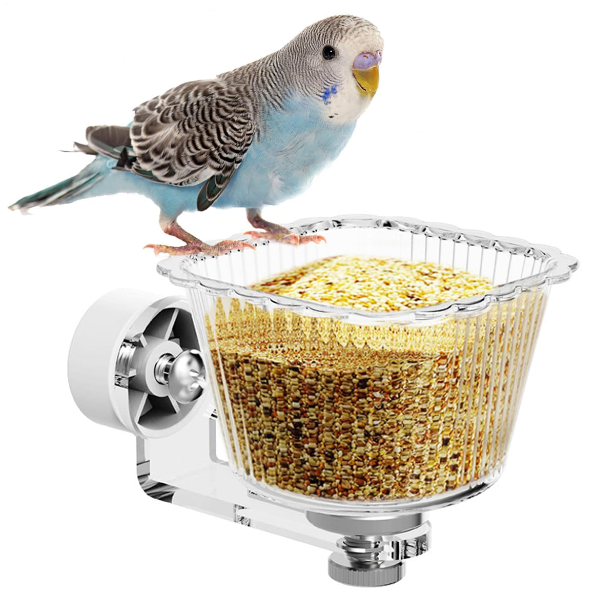Qpets® Pet Bird Feeder Bowl for Cage Screw-Mount Parrot Feeder Clear PC Food Bowl with Magnetic Base,Easy to Remove and Clean,Acrylic Bracket Pet Bird 72x106x66mm