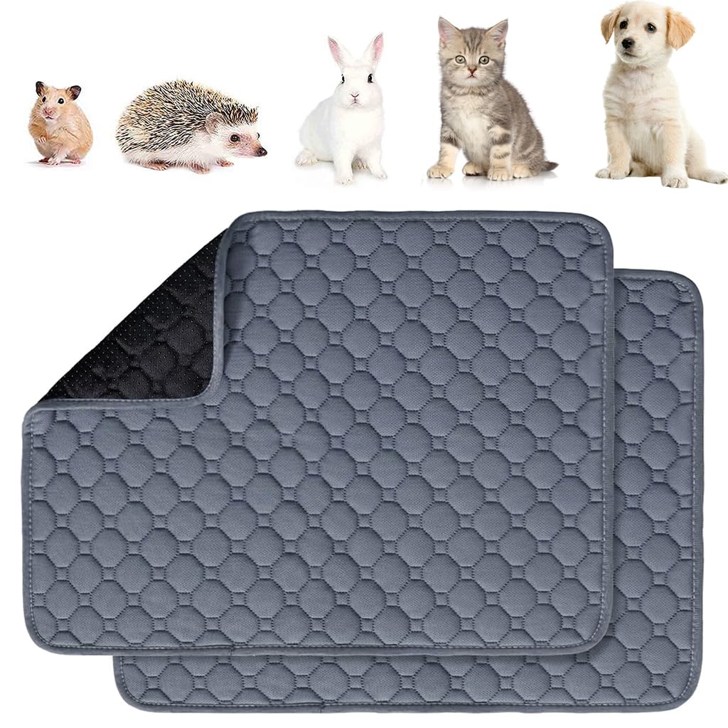 Qpets Pee Pads for Dogs with 4 Layer Waterproof Design 50x35 cm Set of 2 | Machine Washable