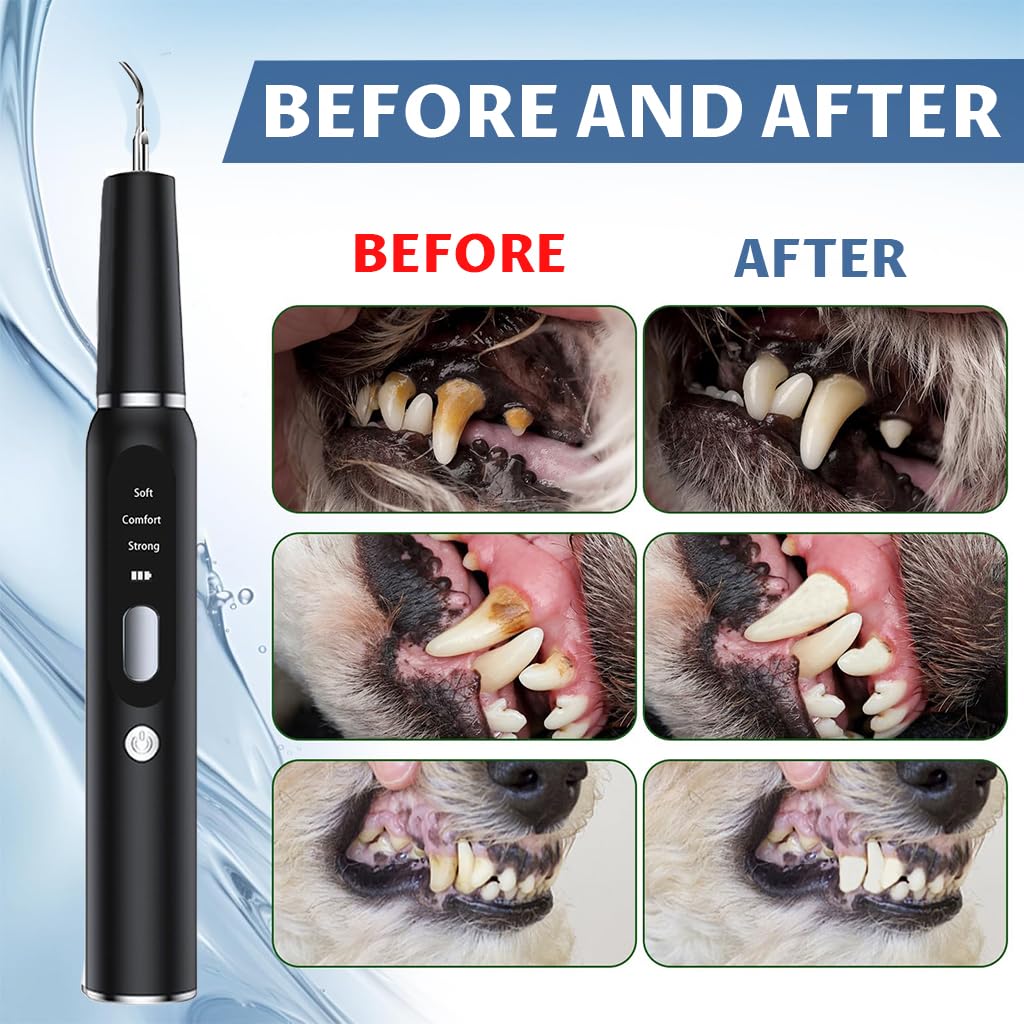 Qpets Electric Teeth Plaque Remover for Dogs with 3-Speed USB Rechargeable Design | Includes 2 Stainless Steel Tips and Dental Mirror