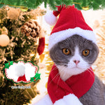 Qpets Christmas Cat Costume Set with Adjustable Drawstring Hat and Scarf for Holiday Photos | Neck 32 cm