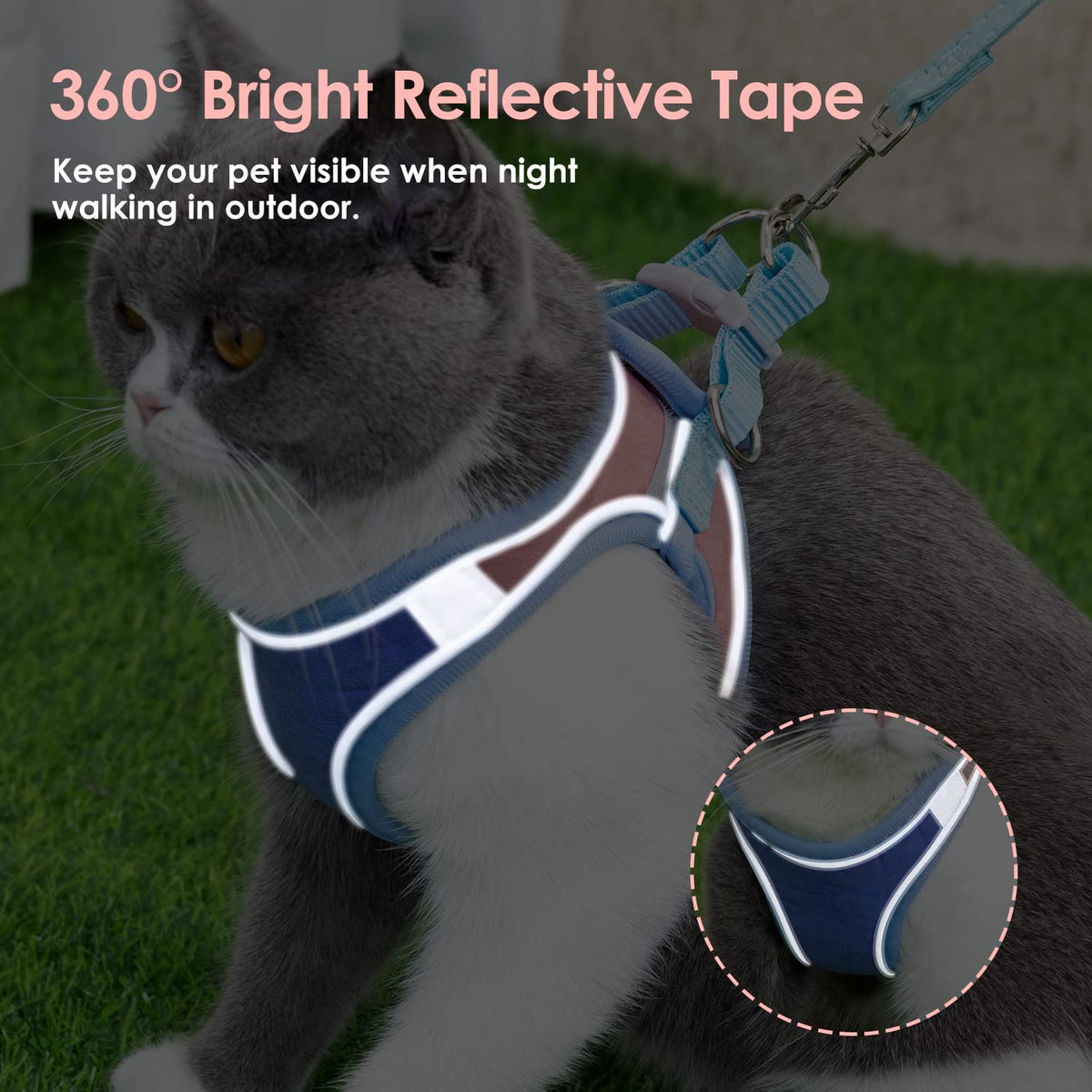Cat Harness with 1.5m Leash, Cat Belt Adjustable Size Breathable Cat Vest Strap with Safety Reflective Strip, Cat Leash with Harness for Small Cat and Dog (M, Blue)