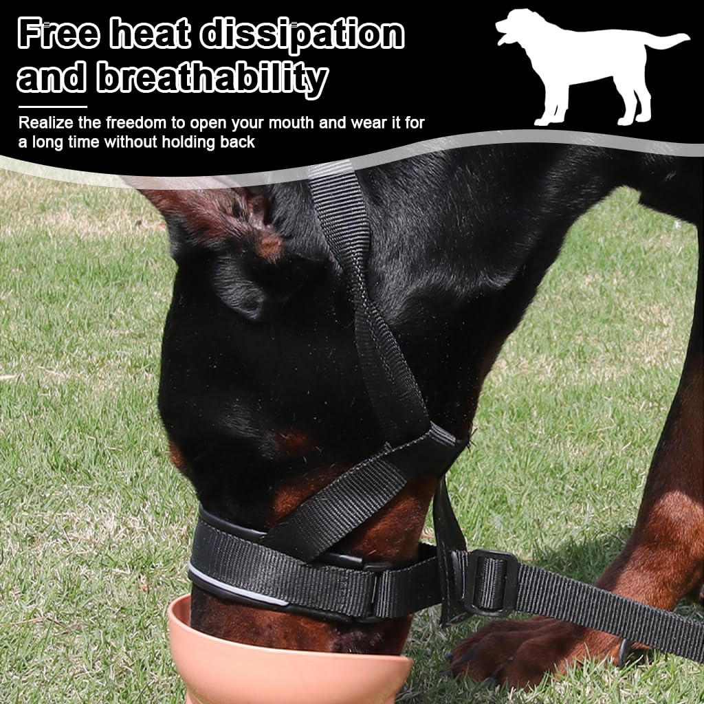 Qpets Dog Head Collar for Training Control with D-Ring and Quick Release Buckle | Adjustable Fit 30–60 cm with Soft Leather Liner for Small to Medium Dogs