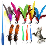 Qpets Cat Interactive Toys Set with Retractable Wand and 10 Feather Worm Attachments | Vibrant Colours for Active Kittens