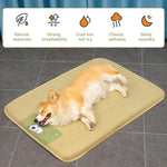 Qpets Dog Cat Summer Sleeping Pad 75×100 cm with Anti‑Slip Waterproof Bottom and Rattan Surface