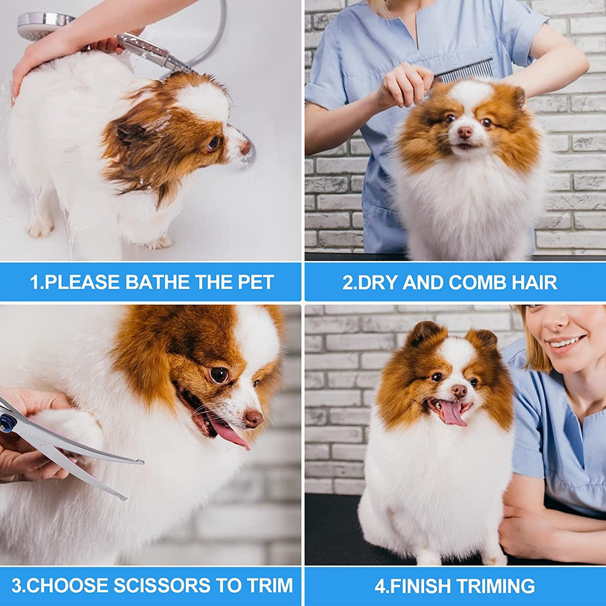 Qpets Dog Grooming Scissors Kit with 6.7 in Shears and 7.5 in Comb featuring Rounded Tips | Stainless Steel Safe Trimming for Dogs and Cats