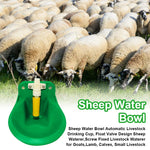 Qpets Sheep Water Bowl with Float Valve and Screw-Fixed Mount | G1/2 Fitting for Goats