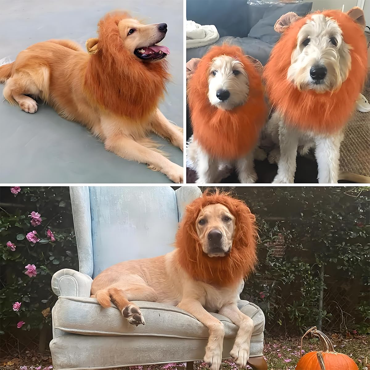 Qpets Lion Costume Set for Dogs with Adjustable Mane and Tail | Ideal for Halloween Parties