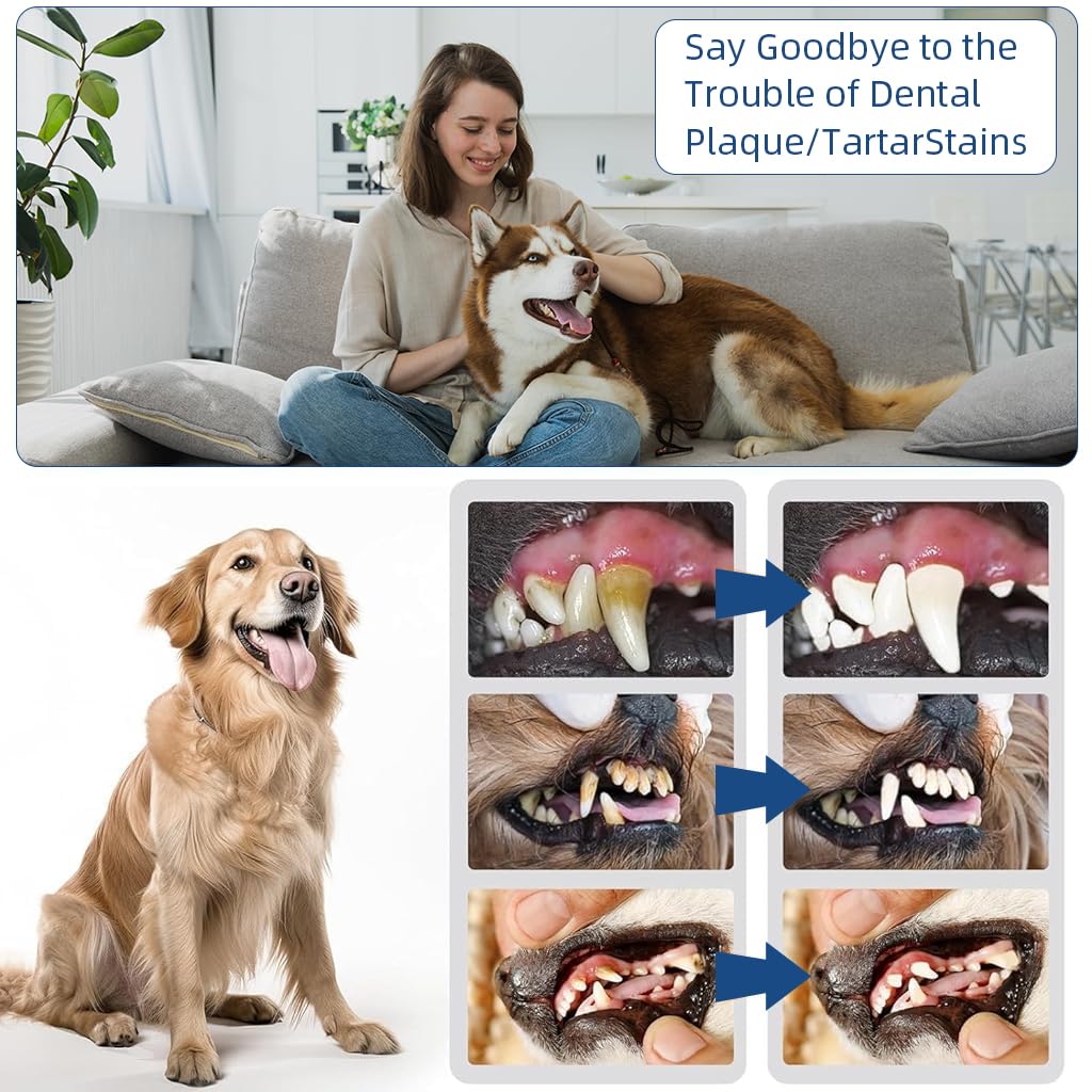Qpets Electric Teeth Plaque Remover for Dogs with 3-Speed USB Rechargeable Design | Includes 2 Stainless Steel Tips and Dental Mirror