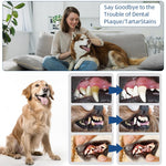 Qpets Electric Teeth Plaque Remover for Dogs with 3-Speed USB Rechargeable Design | Includes 2 Stainless Steel Tips and Dental Mirror